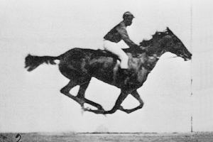 Galloping horse (Muybridge, 1878)